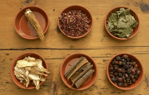 Medicamentos para vermes
